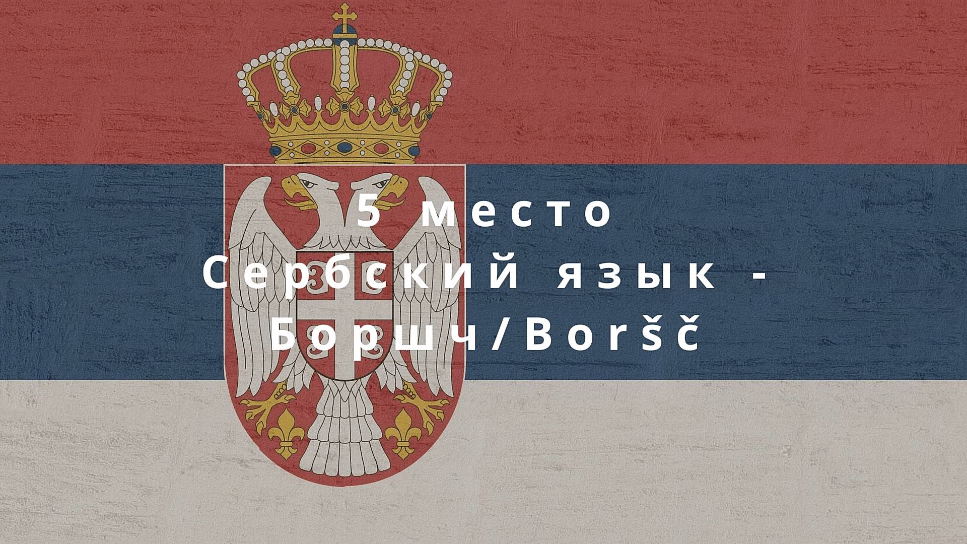 Хит-парад языков, или буква "Щ" на примере борЩа!
