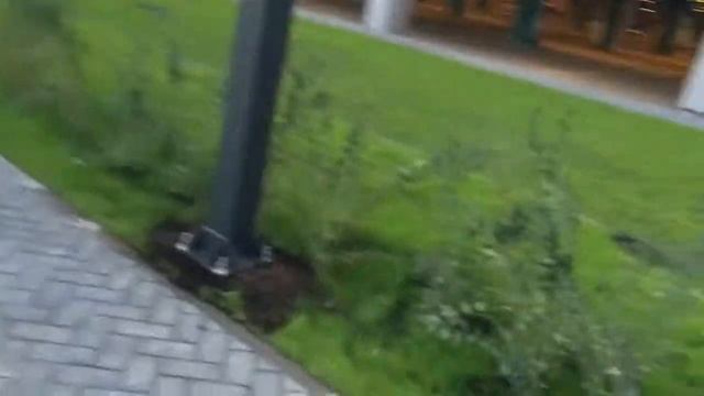 Как Дамир готовился в 1 класс)