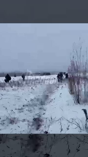 В Хабаровском крае у АН-24 отказал двигатель при взлете.Жертв нет