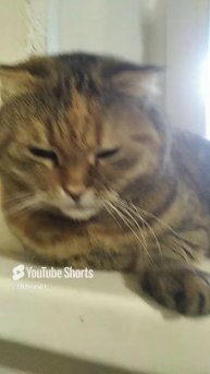 У хорошей жены.mp4