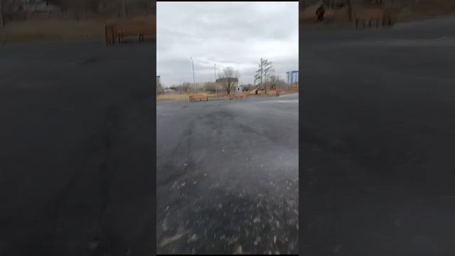 1000079400.mp4