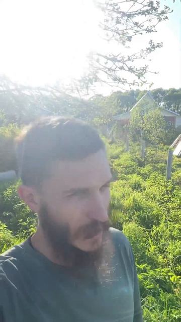 БАНЬКА В РУССКОЙ ДЕРЕВНЕ