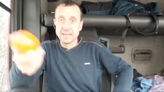 Собака Веган