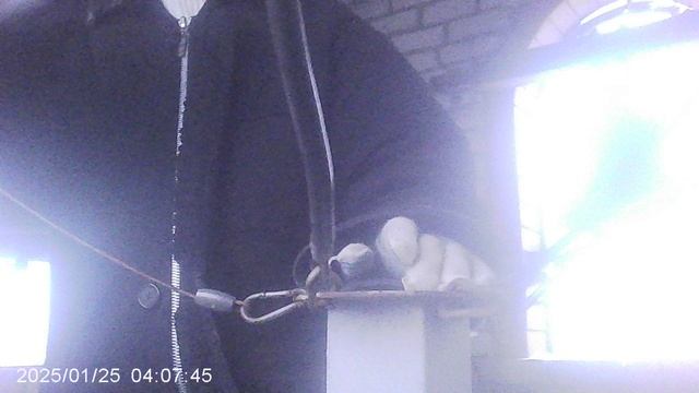 Звон к началу Божественной литургии 25 января 2025: завершение трезвона