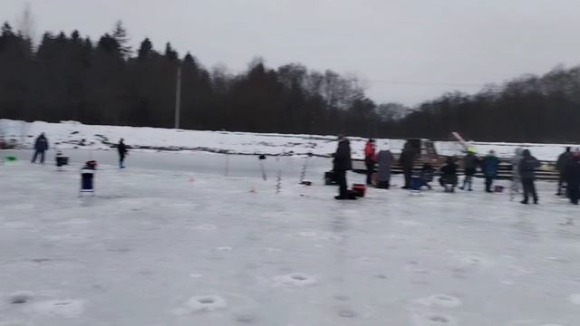 Видеоотчет с водоема