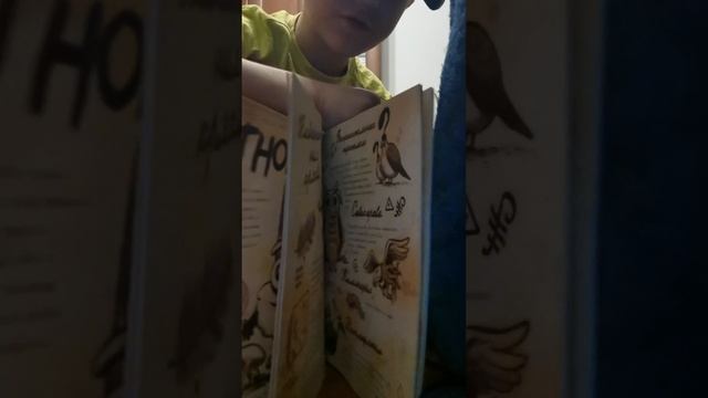 VID_20250105_195119.mp4