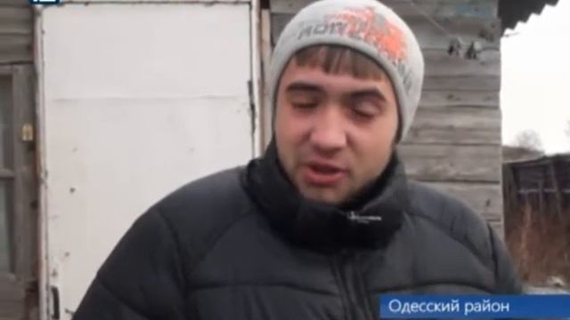 Таинственный зверь продолжает разорять подворья Одесского района