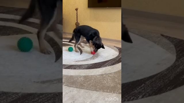 Бэтмен ищет семью❤️