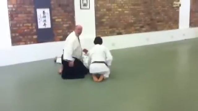 Robert Mustard Aikido Yoshinkan.mp4