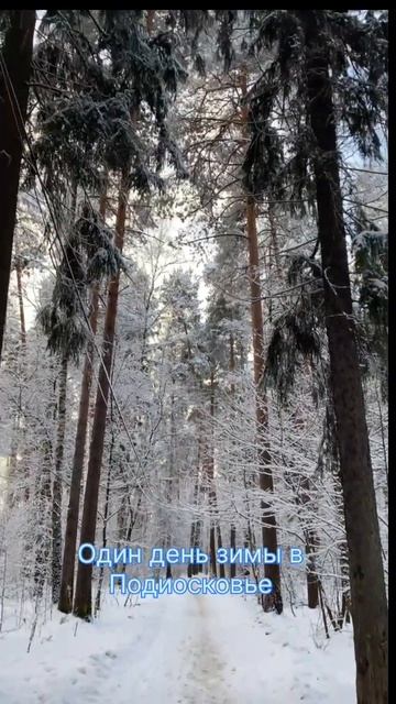 Предновогодняя погода. Подмосковье