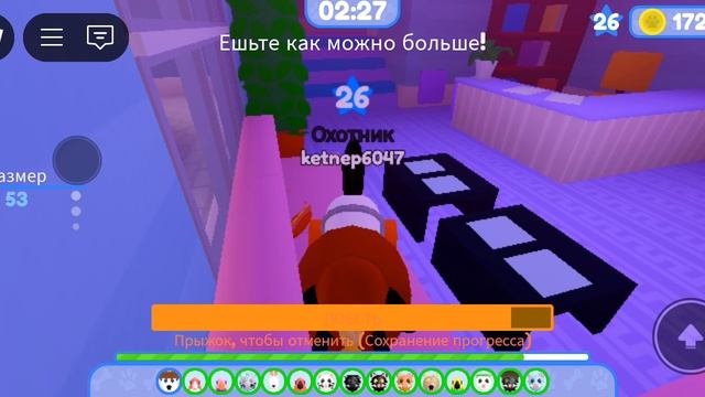 побег питомца