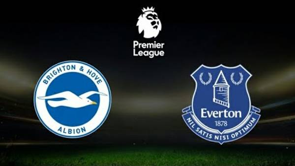 Обзор матча 23 тура Английской Премьер-Лиги. Брайтон - Эвертон