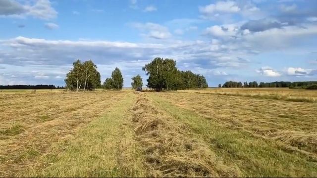 Грабли колесно-пальцевые ГВС-6