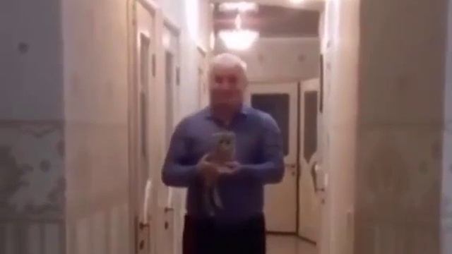 Дед и Кот катаются на роликах