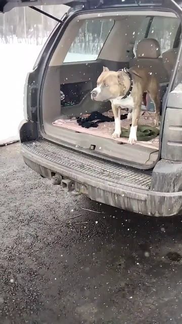 1000027501.mp4