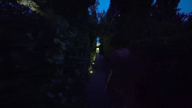 Dalí de Nit. 29/7/2017 - 02/09/2017