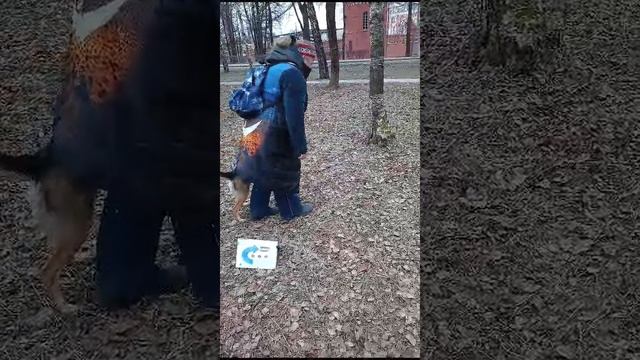 Трен2 25.01.2025