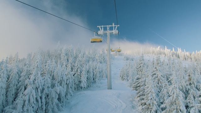20659480-uhd_3840_2160_24fps