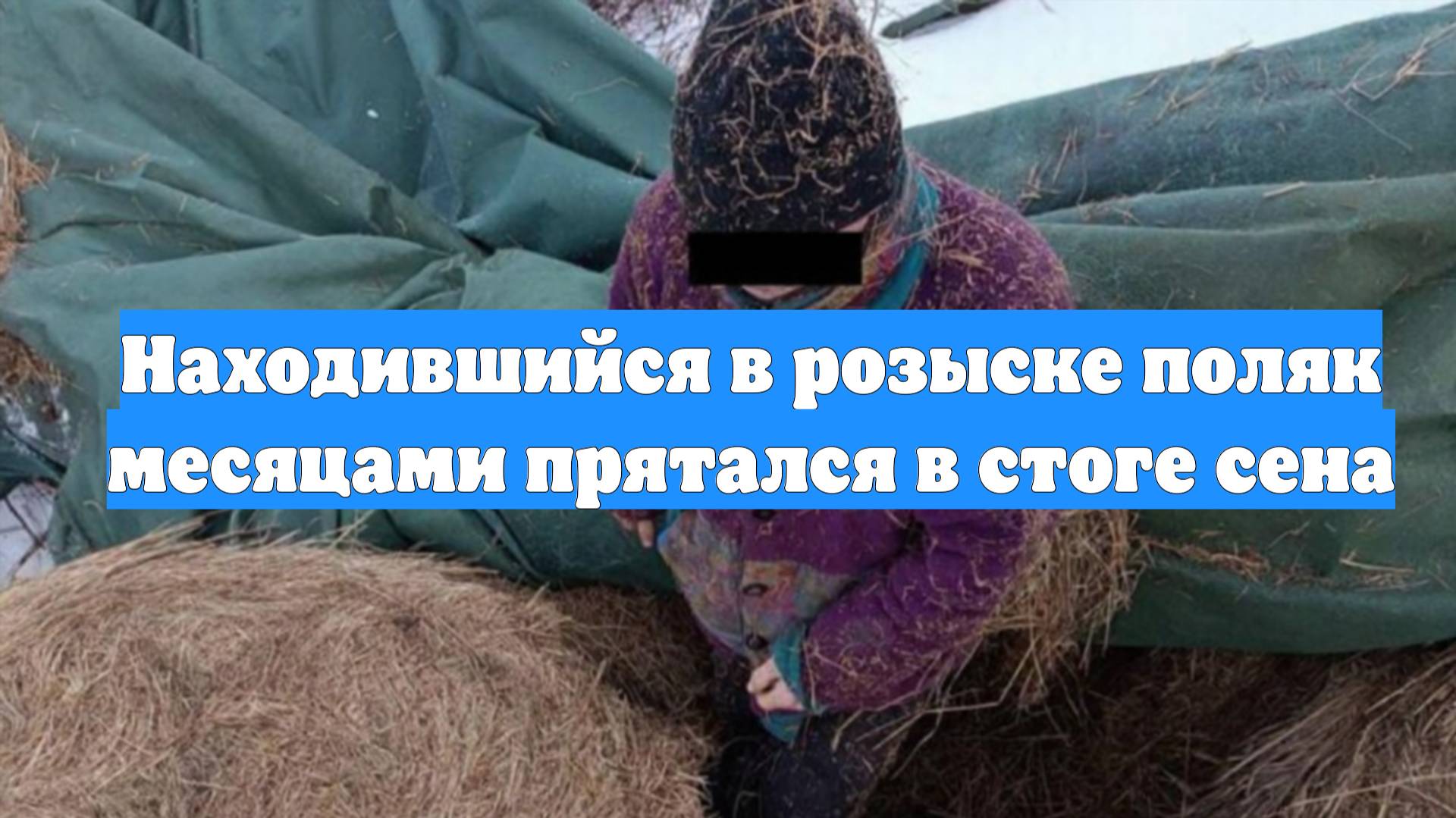 Находившийся в розыске поляк месяцами прятался в стоге сена