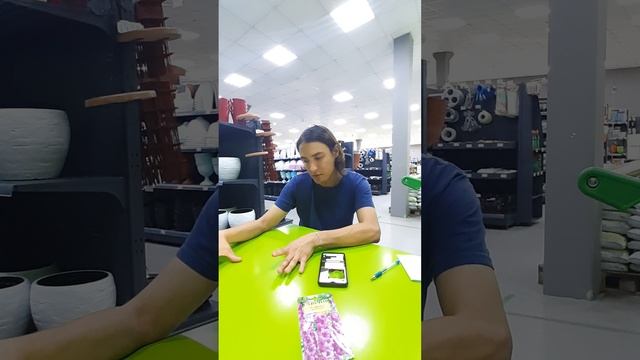 Когда сажать дельфиниумы под зиму на грядки?