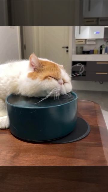 После бурных выходных