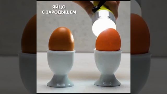 ПРОВЕРИТЬ ПРОДУКТ