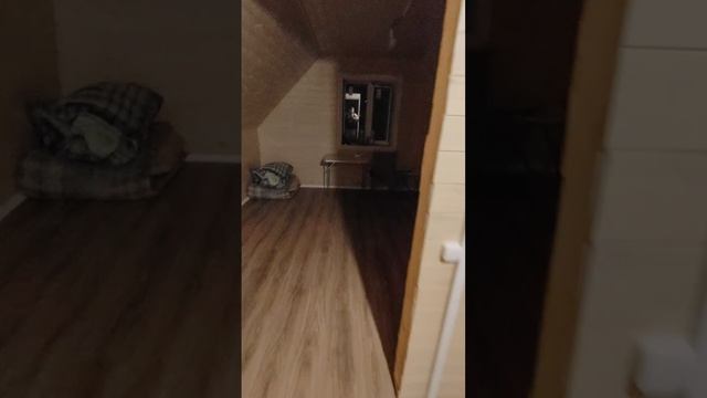 Разводка электрики по дому+ покраска дома