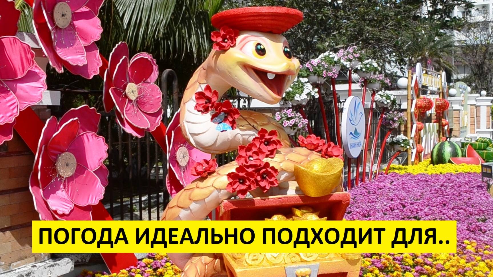 Вьетнам Нячанг погода сегодня 26 января 2025 года 🌞 РАДУЕТ КОМФОРТНЫМИ УСЛОВИЯМИ