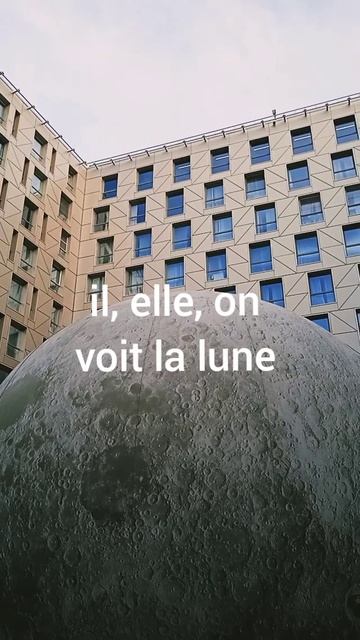 Как изменяется глагол VOIR видеть в настоящем времени во французском языке