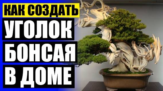 👍 Карликовые плодовые деревья купить в ростове на дону ⛔