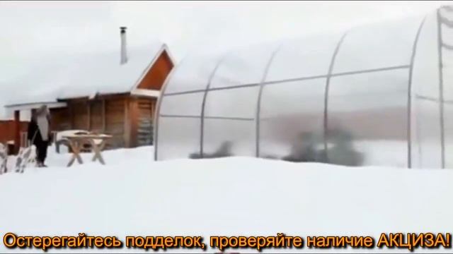 Теплица Сибирская