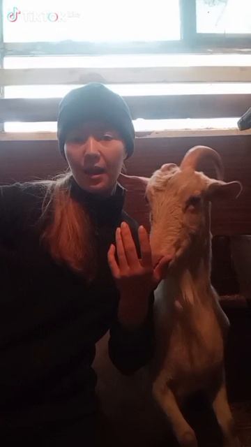 Бобры-добры🦫