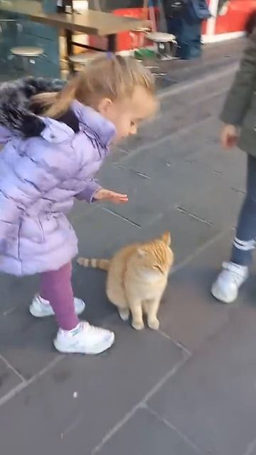 1000046376.mp4