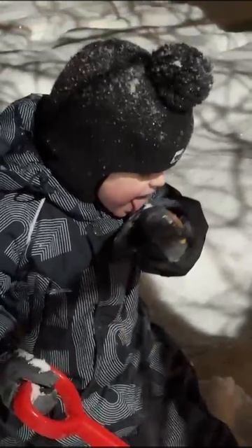 Стёпа на прогулке!Любит Стёпа кушать снег😁