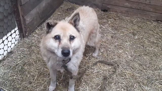 🆘ПОМОГИТЕ ДРУЖКУ - он очень на вас рассчитывает🙏