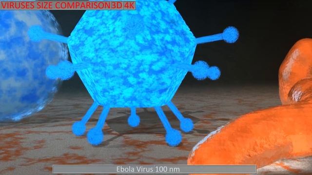 Viruses Size Comparison 4K