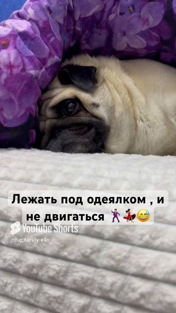 Мои активные выходные 🤣🤣🤣