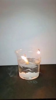 Science Experiment | #shorts #experiment #scienceexperiment