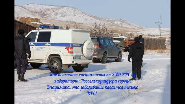 Неправомерное изъятие в день народного единства