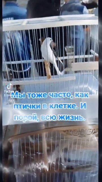 Клетка