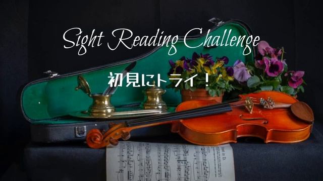 【Sight Reading】Brandenburg Concerto No. 3 in G major, BWV 1048 – I. Allegro, J.S. Bach