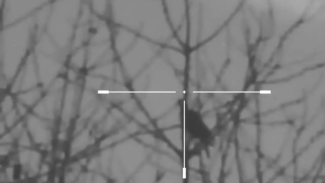 70yards with pulsar photon Yukon RTS