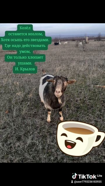 VID_20250118_194454_425