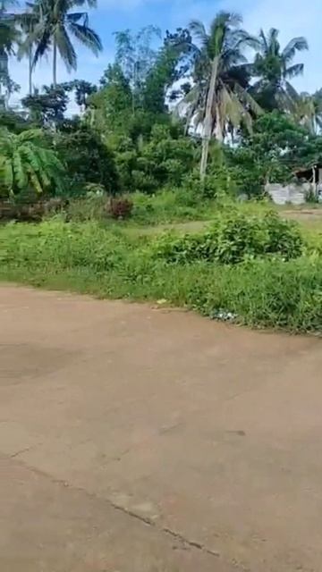 Bohol lot for sale 1,500 sqm in Trinidad Bohol 800/sqm