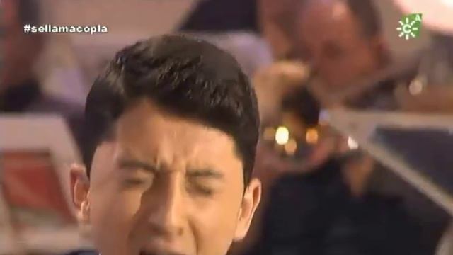 Cristian Coto- Cada cual por su camino- gala 34 copla 8º edición