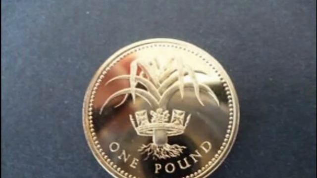 UK 1985 £1 coin WORTH? QUEEN ELIZABETH II