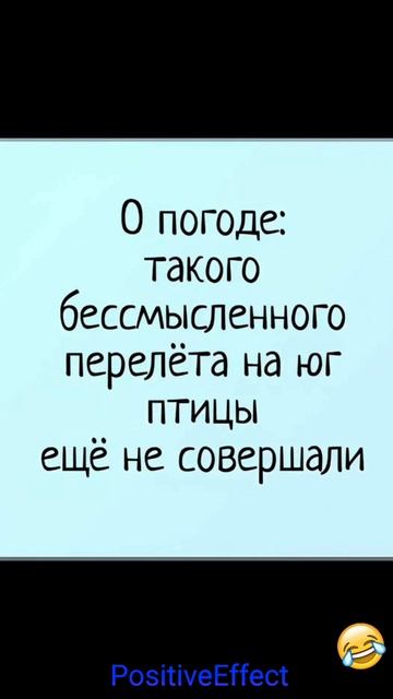 Про зиму 😀