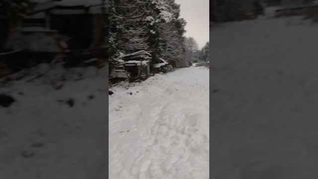 1000447810.mp4
