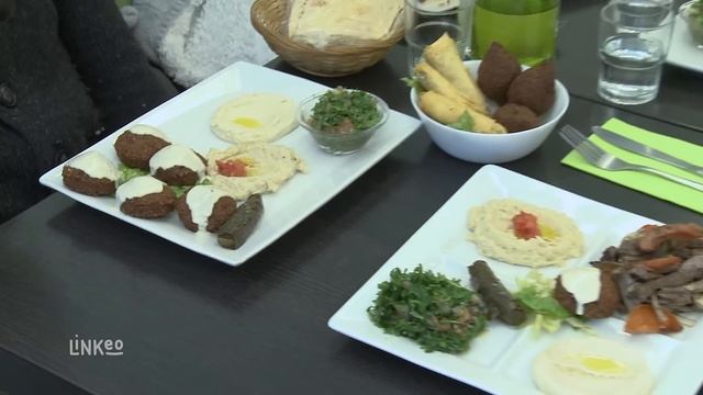 Le Roi Falafel : Restaurant Libanais à LYON 69