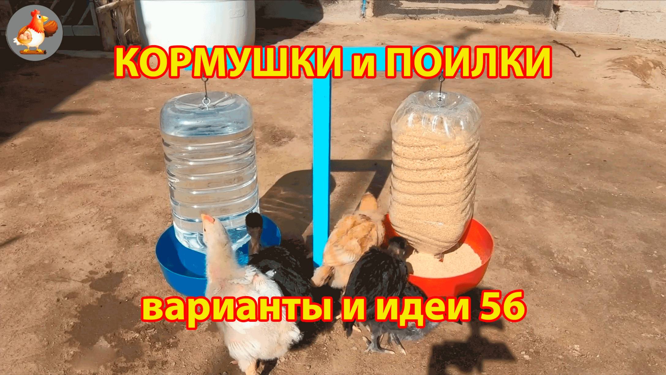Кормушки и поилки для кур своими руками (56) 🪚✂️ Пошаговая инструкция как сделать 🐔 🐓❣️
